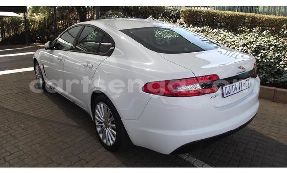 Buy Used Jaguar XF White Car in Ezulwini in Hhohho Buy Used Jaguar XF White Car in Ezulwini in Hhohho