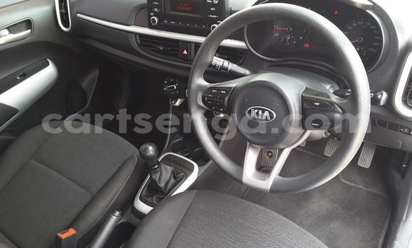 Buy Used Kia Picanto Silver Car in Piggs Peak in Hhohho Buy Used Kia Picanto Silver Car in Piggs Peak in Hhohho