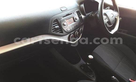 Buy Used Kia Picanto Silver Car in Piggs Peak in Hhohho Buy Used Kia Picanto Silver Car in Piggs Peak in Hhohho