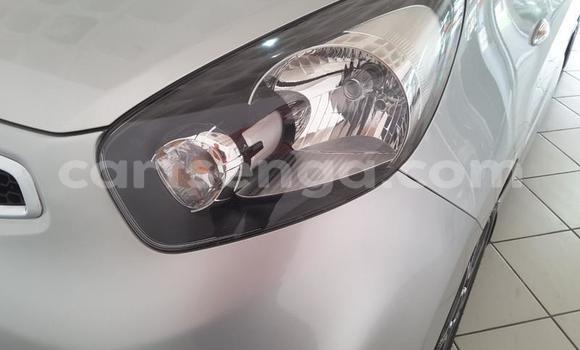 Buy Used Kia Picanto Silver Car in Piggs Peak in Hhohho Buy Used Kia Picanto Silver Car in Piggs Peak in Hhohho