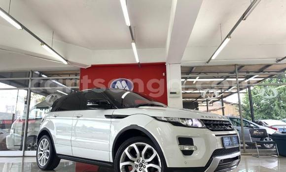 Acheter Occasion Voiture Land Rover Range Rover Evoque Blanc à Ezulwini, Hhohho Acheter Occasion Voiture Land Rover Range Rover Evoque Blanc à Ezulwini, Hhohho