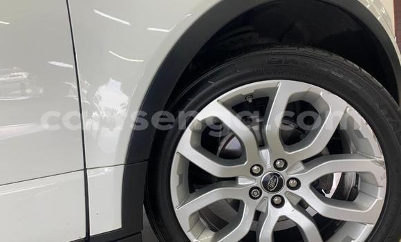 Acheter Occasion Voiture Land Rover Range Rover Evoque Blanc à Ezulwini, Hhohho Acheter Occasion Voiture Land Rover Range Rover Evoque Blanc à Ezulwini, Hhohho