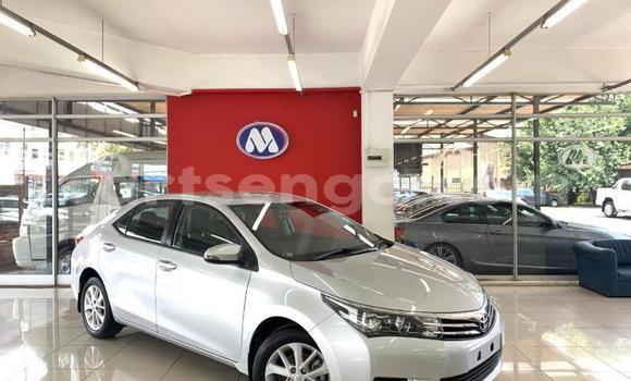 Acheter Occasion Voiture Toyota Corolla Gris à Ezulwini, Hhohho Acheter Occasion Voiture Toyota Corolla Gris à Ezulwini, Hhohho