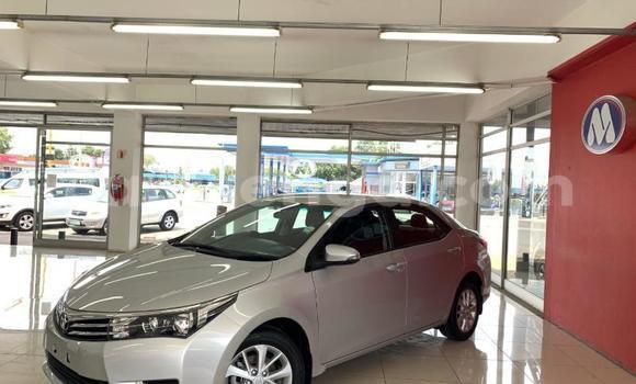 Acheter Occasion Voiture Toyota Corolla Gris à Ezulwini, Hhohho Acheter Occasion Voiture Toyota Corolla Gris à Ezulwini, Hhohho