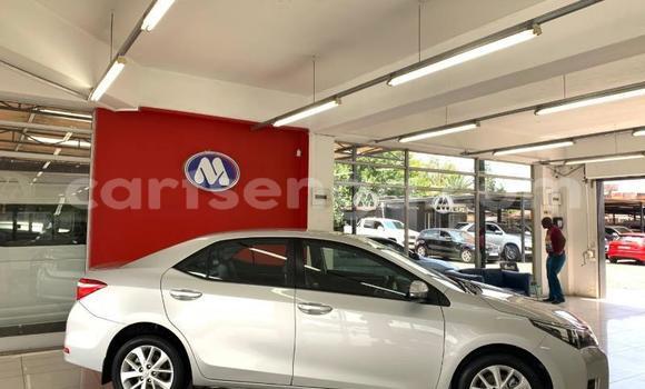 Acheter Occasion Voiture Toyota Corolla Gris à Ezulwini, Hhohho Acheter Occasion Voiture Toyota Corolla Gris à Ezulwini, Hhohho