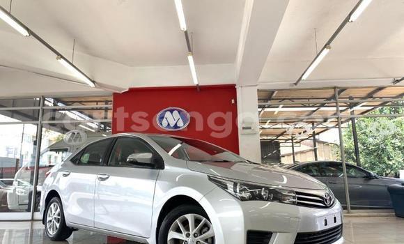 Acheter Occasion Voiture Toyota Corolla Gris à Ezulwini, Hhohho Acheter Occasion Voiture Toyota Corolla Gris à Ezulwini, Hhohho