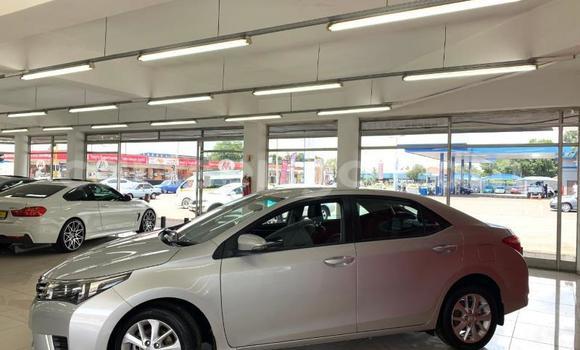Acheter Occasion Voiture Toyota Corolla Gris à Ezulwini, Hhohho Acheter Occasion Voiture Toyota Corolla Gris à Ezulwini, Hhohho
