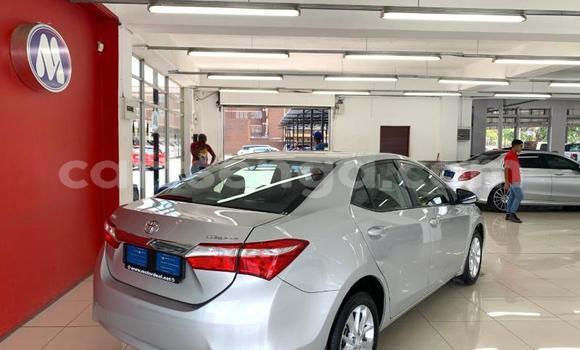 Acheter Occasion Voiture Toyota Corolla Gris à Ezulwini, Hhohho Acheter Occasion Voiture Toyota Corolla Gris à Ezulwini, Hhohho
