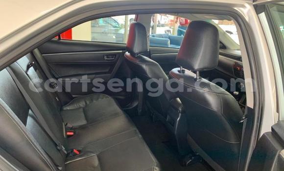 Acheter Occasion Voiture Toyota Corolla Gris à Ezulwini, Hhohho Acheter Occasion Voiture Toyota Corolla Gris à Ezulwini, Hhohho