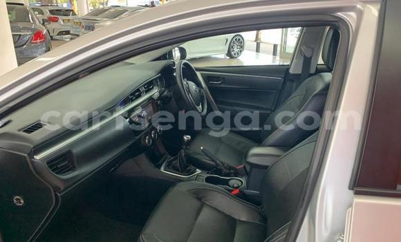Acheter Occasion Voiture Toyota Corolla Gris à Ezulwini, Hhohho Acheter Occasion Voiture Toyota Corolla Gris à Ezulwini, Hhohho