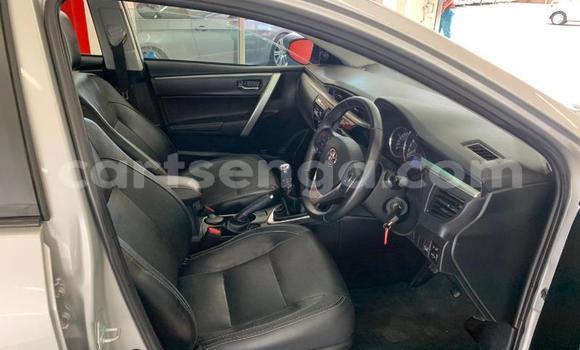 Acheter Occasion Voiture Toyota Corolla Gris à Ezulwini, Hhohho Acheter Occasion Voiture Toyota Corolla Gris à Ezulwini, Hhohho