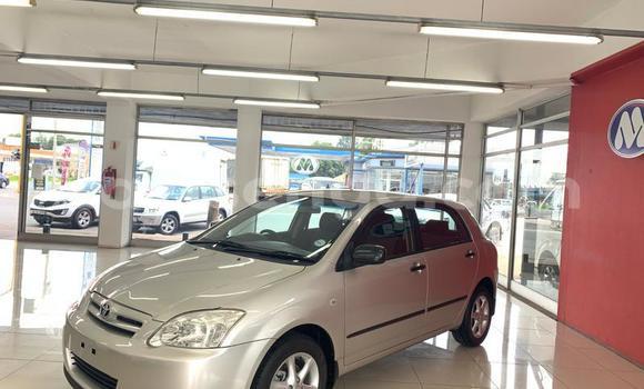 Nunua Ilio tumika Toyota Runx Silver Gari ndani ya Ezulwini nchini Hhohho Nunua Ilio tumika Toyota Runx Silver Gari ndani ya Ezulwini nchini Hhohho