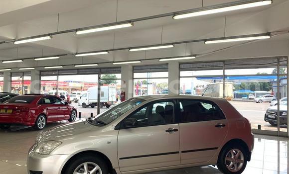 Nunua Ilio tumika Toyota Runx Silver Gari ndani ya Ezulwini nchini Hhohho Nunua Ilio tumika Toyota Runx Silver Gari ndani ya Ezulwini nchini Hhohho