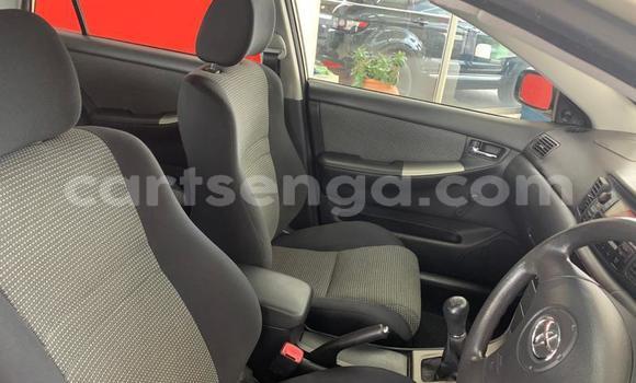 Nunua Ilio tumika Toyota Runx Silver Gari ndani ya Ezulwini nchini Hhohho Nunua Ilio tumika Toyota Runx Silver Gari ndani ya Ezulwini nchini Hhohho