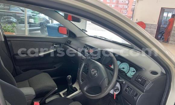 Nunua Ilio tumika Toyota Runx Silver Gari ndani ya Ezulwini nchini Hhohho Nunua Ilio tumika Toyota Runx Silver Gari ndani ya Ezulwini nchini Hhohho