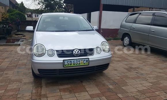 Buy Used Volkswagen Polo Silver Car in Manzini in Manzini Buy Used Volkswagen Polo Silver Car in Manzini in Manzini
