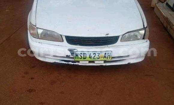 Nunua Ilio tumika Toyota Corolla White Gari ndani ya Manzini nchini Manzini Nunua Ilio tumika Toyota Corolla White Gari ndani ya Manzini nchini Manzini