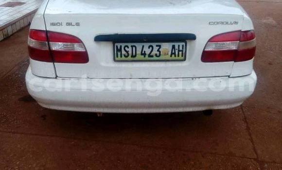 Nunua Ilio tumika Toyota Corolla White Gari ndani ya Manzini nchini Manzini Nunua Ilio tumika Toyota Corolla White Gari ndani ya Manzini nchini Manzini