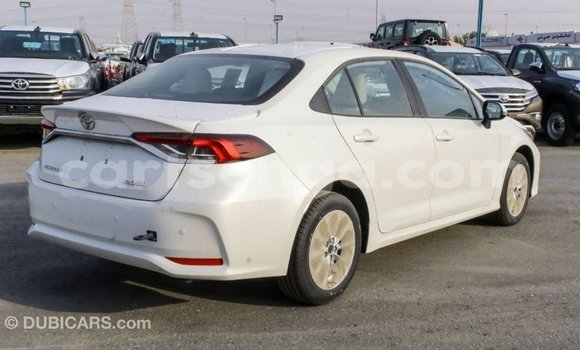 Buy Import Toyota Corolla White Car in Import - Dubai in Hhohho Buy Import Toyota Corolla White Car in Import - Dubai in Hhohho