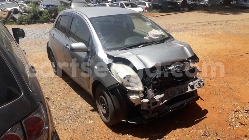 Big with watermark 47452611 10218341097736468 2589433703994228736 n