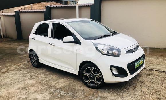 Acheter Occasion Voiture Kia Picanto Blanc à Manzini, Manzini