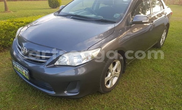 Buy Used Toyota Corolla Other Car in Mbabane in Manzini Buy Used Toyota Corolla Other Car in Mbabane in Manzini