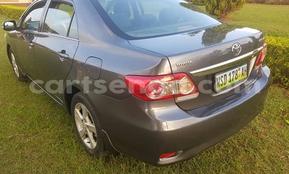 Buy Used Toyota Corolla Other Car in Mbabane in Manzini Buy Used Toyota Corolla Other Car in Mbabane in Manzini