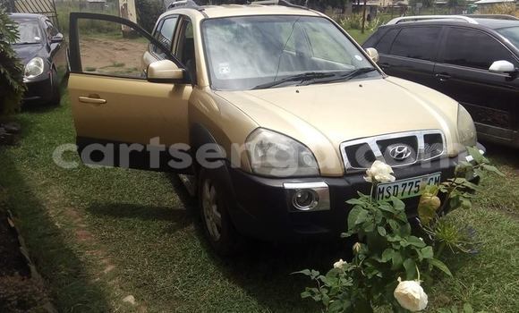 Buy Used Hyundai Tucson Brown Car in Nhlangano in Shiselweni District