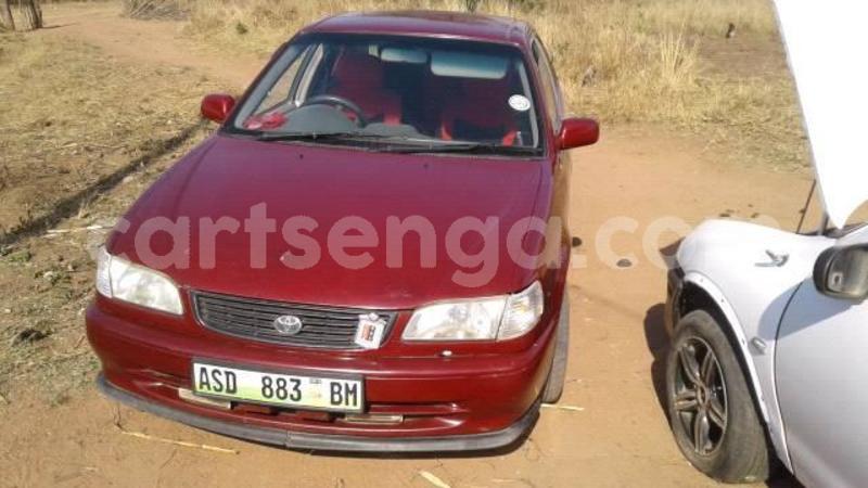 Big with watermark 46144907 2232879550327947 6327878482311249920 n