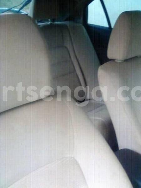 Big with watermark 41976560 2200813550201214 3328788482637168640 n