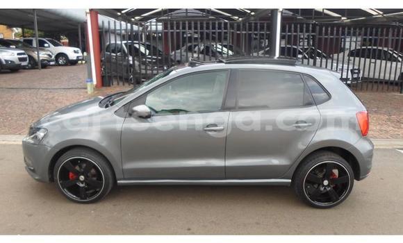 Buy Used Volkswagen Polo Silver Car in Big Bend in Lubombo District Buy Used Volkswagen Polo Silver Car in Big Bend in Lubombo District