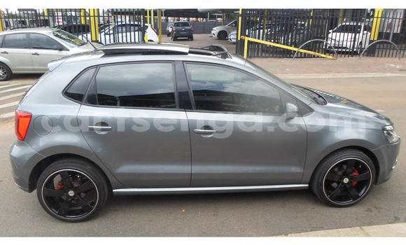 Buy Used Volkswagen Polo Silver Car in Big Bend in Lubombo District Buy Used Volkswagen Polo Silver Car in Big Bend in Lubombo District