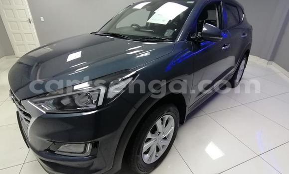 Nunua Ilio tumika Hyundai Tucson Black Gari ndani ya Ezulwini nchini Hhohho Nunua Ilio tumika Hyundai Tucson Black Gari ndani ya Ezulwini nchini Hhohho