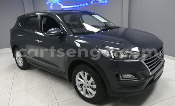 Nunua Ilio tumika Hyundai Tucson Black Gari ndani ya Ezulwini nchini Hhohho Nunua Ilio tumika Hyundai Tucson Black Gari ndani ya Ezulwini nchini Hhohho
