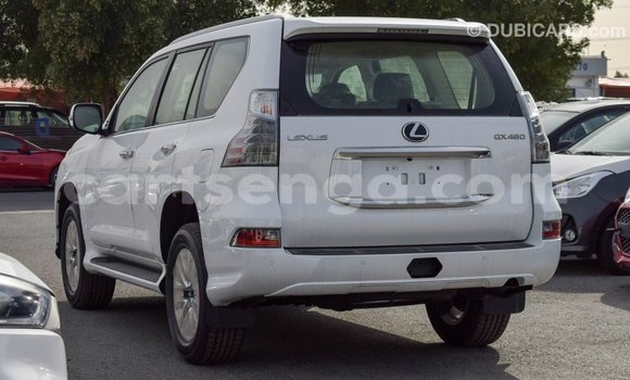 Buy Import Lexus GX White Car in Import - Dubai in Hhohho Buy Import Lexus GX White Car in Import - Dubai in Hhohho