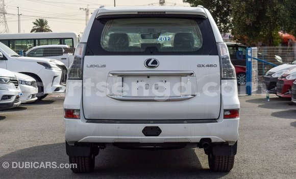 Buy Import Lexus GX White Car in Import - Dubai in Hhohho Buy Import Lexus GX White Car in Import - Dubai in Hhohho