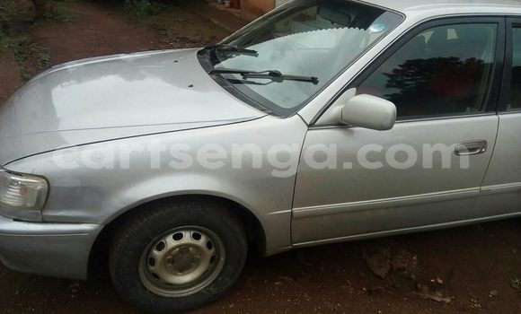 Buy Used Toyota Sprinter White Car in Matsapha in Manzini Buy Used Toyota Sprinter White Car in Matsapha in Manzini