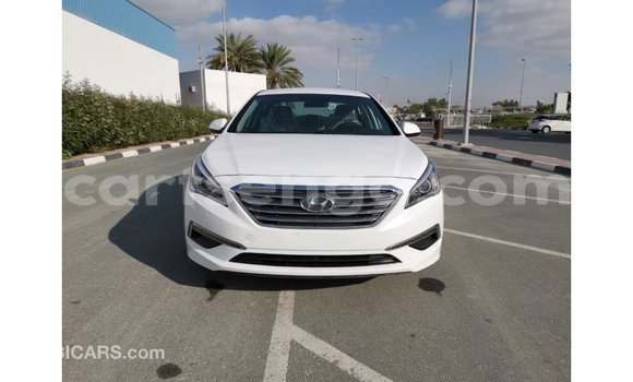 Acheter Import Voiture Hyundai Sonata Blanc à Import - Dubai, Hhohho Acheter Import Voiture Hyundai Sonata Blanc à Import - Dubai, Hhohho