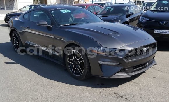 Buy Import Ford Mustang Other Car in Import - Dubai in Hhohho Buy Import Ford Mustang Other Car in Import - Dubai in Hhohho