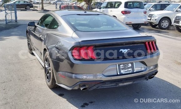 Buy Import Ford Mustang Other Car in Import - Dubai in Hhohho Buy Import Ford Mustang Other Car in Import - Dubai in Hhohho