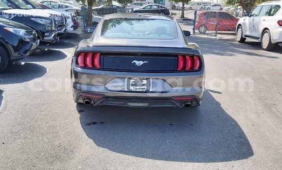 Buy Import Ford Mustang Other Car in Import - Dubai in Hhohho Buy Import Ford Mustang Other Car in Import - Dubai in Hhohho