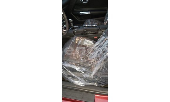 Buy Import Ford Mustang Red Car in Import - Dubai in Hhohho Buy Import Ford Mustang Red Car in Import - Dubai in Hhohho
