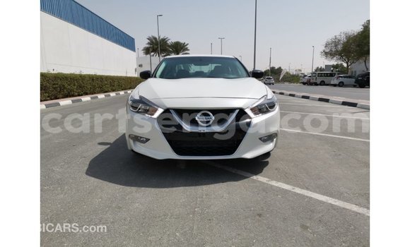 Acheter Import Voiture Nissan Maxima Blanc à Import - Dubai, Hhohho Acheter Import Voiture Nissan Maxima Blanc à Import - Dubai, Hhohho