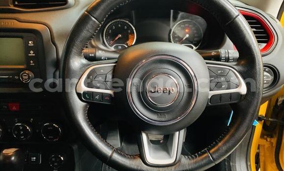 Nunua Ilio tumika Jeep Renegade Other Gari ndani ya Ezulwini nchini Hhohho Nunua Ilio tumika Jeep Renegade Other Gari ndani ya Ezulwini nchini Hhohho