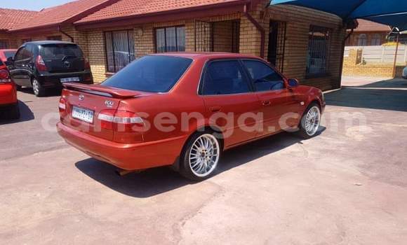 Buy Used Toyota Corolla Red Car in Hlatikulu in Shiselweni District Buy Used Toyota Corolla Red Car in Hlatikulu in Shiselweni District