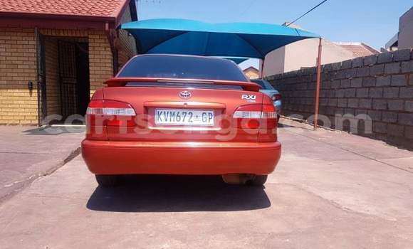 Buy Used Toyota Corolla Red Car in Hlatikulu in Shiselweni District Buy Used Toyota Corolla Red Car in Hlatikulu in Shiselweni District