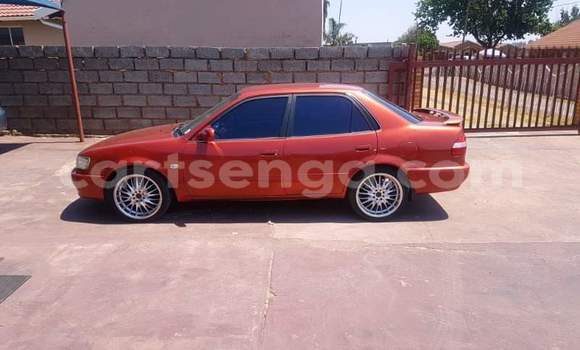 Buy Used Toyota Corolla Red Car in Hlatikulu in Shiselweni District Buy Used Toyota Corolla Red Car in Hlatikulu in Shiselweni District