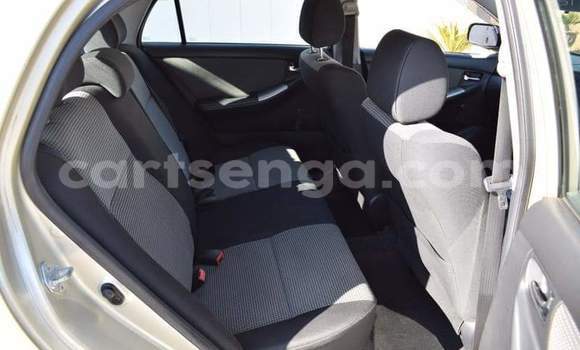 Acheter Occasion Voiture Toyota Runx Gris à Manzini, Manzini Acheter Occasion Voiture Toyota Runx Gris à Manzini, Manzini