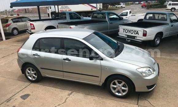 Acheter Occasion Voiture Toyota Runx Gris à Manzini, Manzini Acheter Occasion Voiture Toyota Runx Gris à Manzini, Manzini