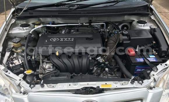 Acheter Occasion Voiture Toyota Runx Gris à Manzini, Manzini Acheter Occasion Voiture Toyota Runx Gris à Manzini, Manzini